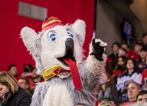 The Fragility of Mascot Life: When a Simple Accident Turns Tragic